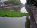 城市内河河道综合治理工程设计方案（含超清图片）