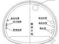 [贵州]隧道工程进洞专项施工方案（中铁建）