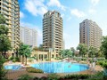 [精讲]营销顾问的套路、流程、工作方法讲义