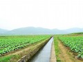 [河南]土地整理监理细则（包含土地平整 田间道路等）