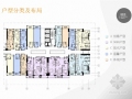 [广东]同小区多种户型样板间概念设计方案