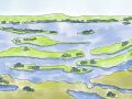 生态设计的宠儿——湿地建设的关键是什么？
