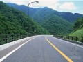 [山东]2015年道路管网工程设计招标文件