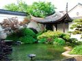 竹子护宅，香椿辟邪…什么样的植物最适合你家庭院?