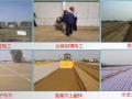 [江苏]泰高高速公路工程精细化管理经验汇报PPT