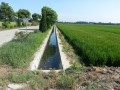 600亩蔬菜基地小型农田水利项目实施方案