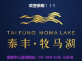 [官方]惠州市泰丰牧马湖 认筹别墅20万起。