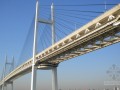 [北京]桥梁现浇梁与移动模架成本分析报告（方案对比含报表）