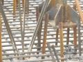 单层钢结构厂房地脚螺栓预埋施工方案