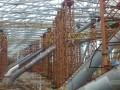 [广西]机场工程钢结构综合施工技术汇报（树形钢管柱 交叉桁架体系）