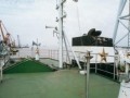 浙江码头沉桩专项施工方案