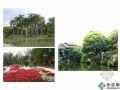 [讲义]居住区中常见植物景观配置
