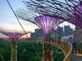新加坡经典高端景观考察活动