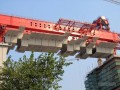 特大桥工程48m节段梁拼装施工方案（146页 附架桥机资料）