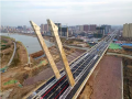 亚洲最宽的无背索斜塔斜拉桥未验收便通车，4个月就大面积破损