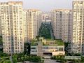 上海某高层住宅小区施工质量创优汇报（PPT 高档全装修 鲁班奖）