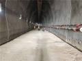 高速公路隧道施工标准化管理实施（115页）