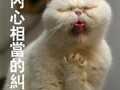 造价工程师和一建哪个好考？哪个证书含金量大？