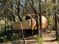 又见树林木屋：卧在非洲野生动物区的猛兽