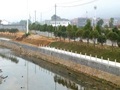 河道治理工程施工组织设计Word版（共115页）