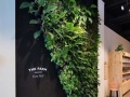 绿色建筑原生态植物墙室内效果设计