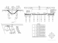 板长13m预应力钢筋混凝土空心板梁桥设计图（34张）