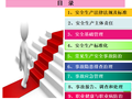生产经营单位主要负责人和安全管理员（共133页）