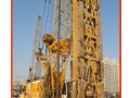 [上海]世博配套工程超深基坑盖挖逆作法施工技术