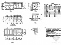 厦门某自来水厂扩建工程滤池及沉淀池图纸