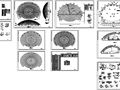 某双曲面球壳网架（弹性支座）全套建筑结构图