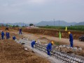 [四川]公路改建工程路基土石方专项施工方案