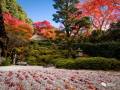 日本15个最美枯山水庭院