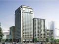 标杆地产集团项目工程管理手册（500余页）