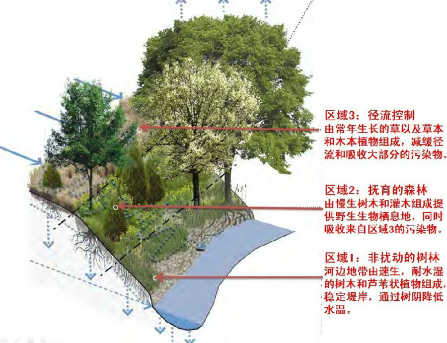 【细部九:滨水缓冲带】