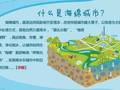 解析：建设海绵城市工程的本质到底是什么？