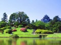 [青岛]植物园景观绿化工程预算书