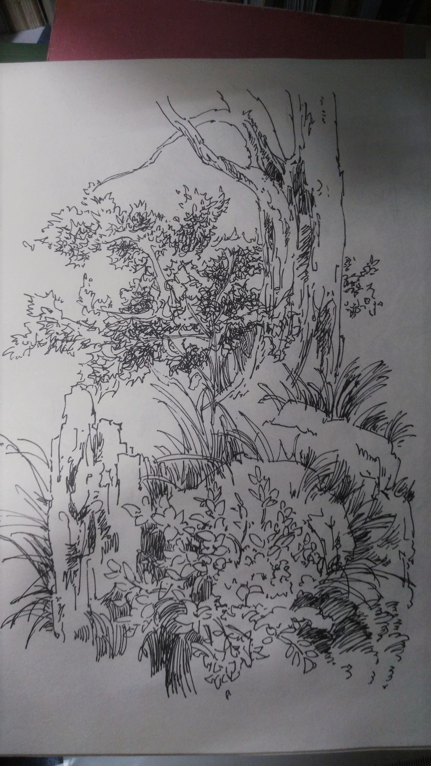 [分享]钢笔画临摹资料下载
