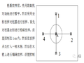 桥梁测量放线实例