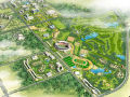 克拉玛依新区发展用地详细规划方案设计