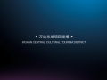 上海和声东湖项目运营策略（共130页）