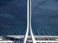 世界最长的非对称单塔斜拉桥主桥工程难度高，5度流标，预算将增