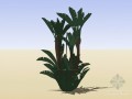 植物组件sketchup模型下载