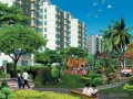 [山东]居民住宅小区环境提升改造工程施工招标文件(绿化 景观)