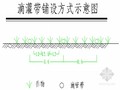 [新疆]20366亩农业高效节水建设项目实施方案（机井加压滴灌）