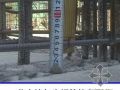 北京某大学游泳馆创“结构长城杯”汇报材料（PPT）
