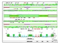 道路绿化全套设计图（23张 设计美观）