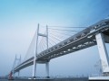 [广东]2015年大桥桥面排水工程施工招标文件(合同 114页)
