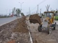 [四川]市政道路绿化工程专项施工组织设计