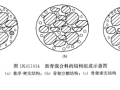 2017年全国一级建造师市政公用工程管理与实务（全国一建考试用书编写委员会）