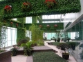 明筑仿真植物墙 不容错过的新型环保装饰品牌